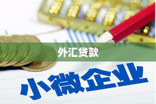 忠县外汇贷款