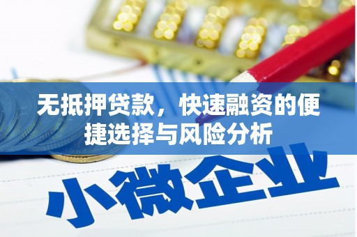忠县无抵押贷款，快速融资的便捷选择与风险分析