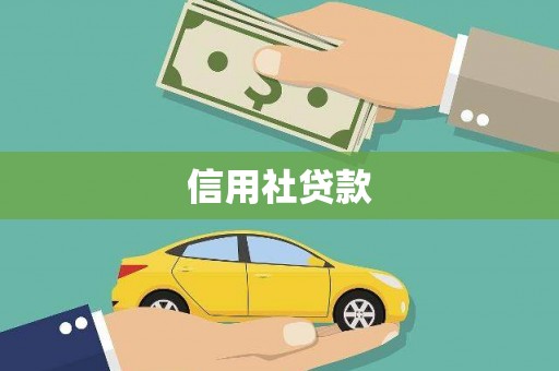忠县信用社贷款