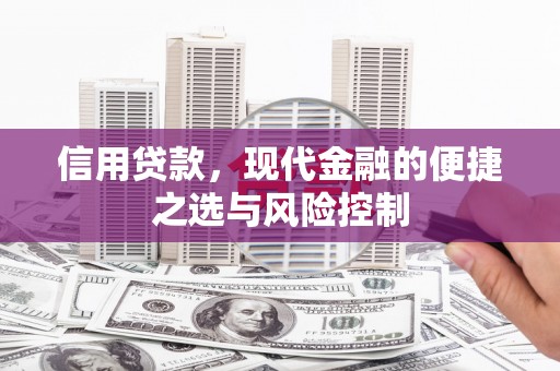 忠县信用贷款，现代金融的便捷之选与风险控制