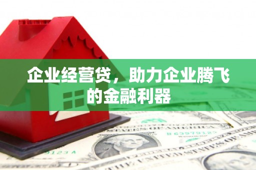 忠县企业经营贷，助力企业腾飞的金融利器