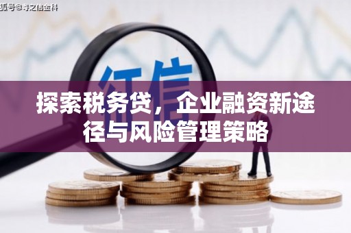忠县探索税务贷，企业融资新途径与风险管理策略