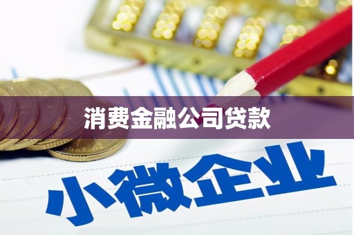 忠县消费金融公司贷款