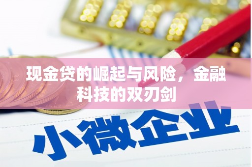 忠县现金贷的崛起与风险，金融科技的双刃剑