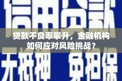 忠县贷款不良率攀升，金融机构如何应对风险挑战？