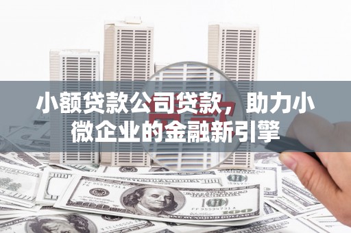 忠县小额贷款公司贷款，助力小微企业的金融新引擎