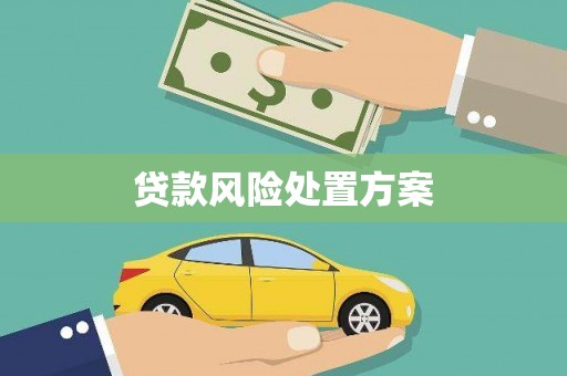 忠县贷款风险处置方案