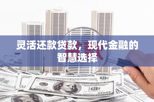 忠县灵活还款贷款，现代金融的智慧选择