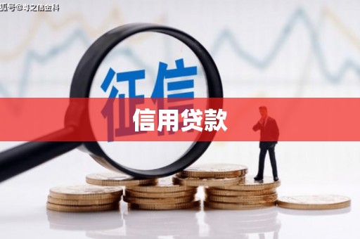忠县信用贷款