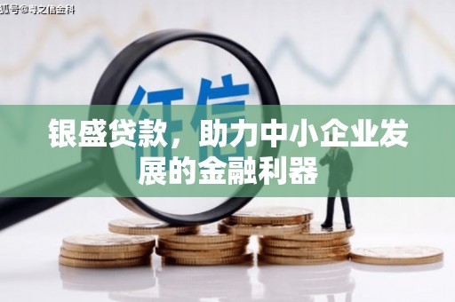 忠县银盛贷款，助力中小企业发展的金融利器