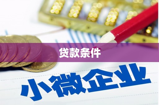 忠县贷款条件