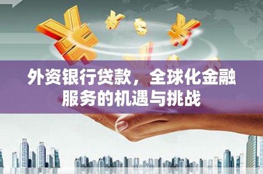 忠县外资银行贷款，全球化金融服务的机遇与挑战