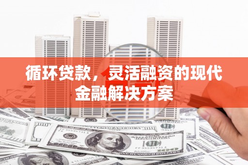 忠县循环贷款，灵活融资的现代金融解决方案
