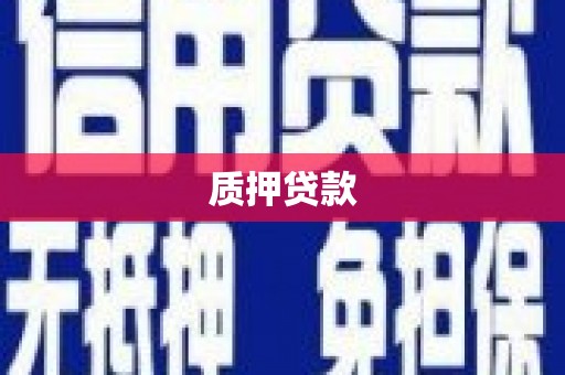 忠县质押贷款
