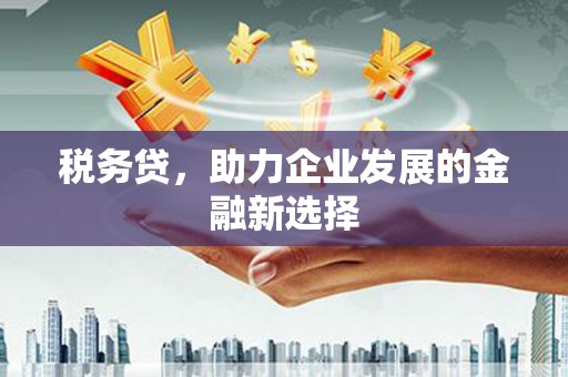 忠县税务贷，助力企业发展的金融新选择