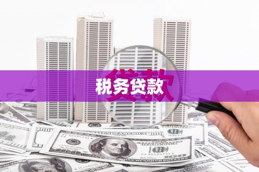 忠县税务贷款