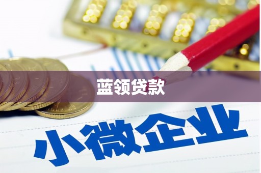 忠县蓝领贷款