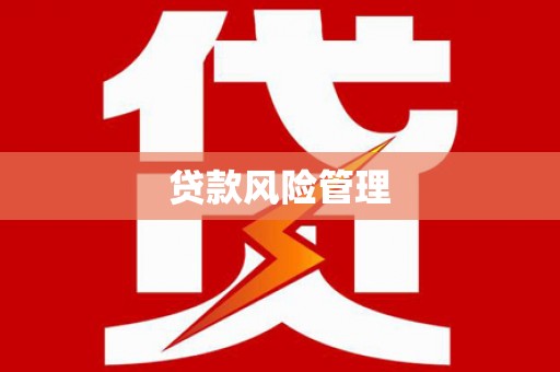 忠县贷款风险管理