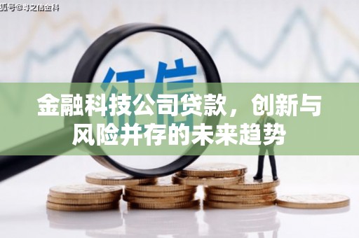 忠县金融科技公司贷款，创新与风险并存的未来趋势