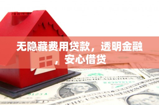 忠县无隐藏费用贷款，透明金融，安心借贷