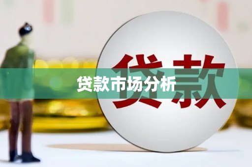 忠县贷款市场分析