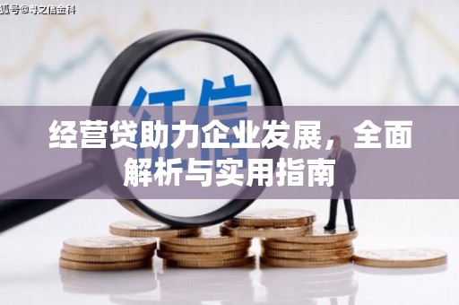忠县经营贷助力企业发展，全面解析与实用指南