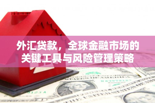 忠县外汇贷款，全球金融市场的关键工具与风险管理策略