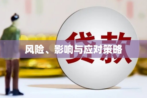 忠县风险、影响与应对策略