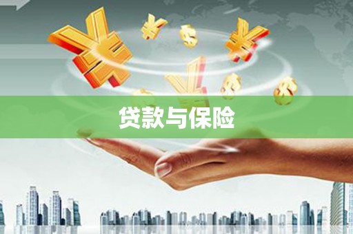 忠县贷款与保险