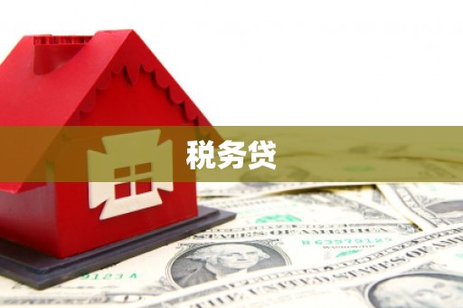 忠县税务贷