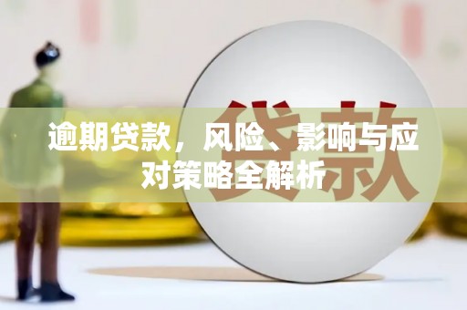 忠县逾期贷款，风险、影响与应对策略全解析