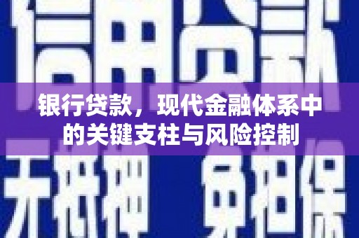 忠县银行贷款，现代金融体系中的关键支柱与风险控制