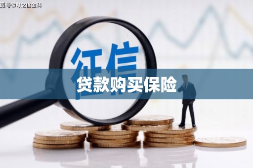 忠县贷款购买保险