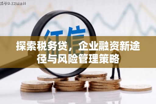忠县探索税务贷，企业融资新途径与风险管理策略