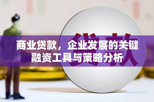 忠县商业贷款，企业发展的关键融资工具与策略分析