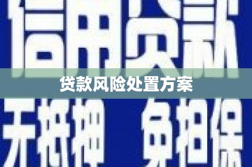 忠县贷款风险处置方案
