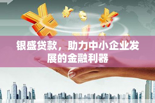 忠县银盛贷款，助力中小企业发展的金融利器