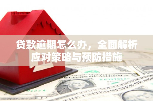忠县贷款逾期怎么办，全面解析应对策略与预防措施