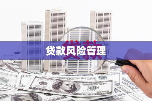 忠县贷款风险管理