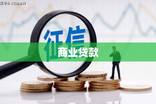 忠县商业贷款