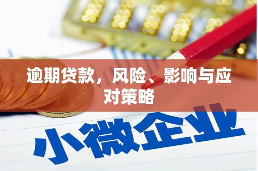 忠县逾期贷款，风险、影响与应对策略