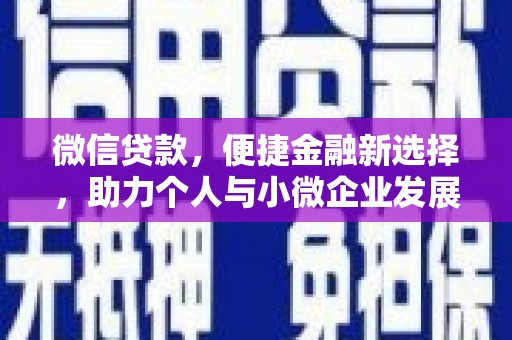 忠县微信贷款，便捷金融新选择，助力个人与小微企业发展