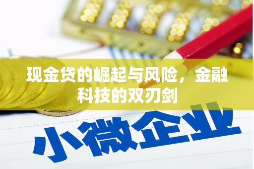 忠县现金贷的崛起与风险，金融科技的双刃剑