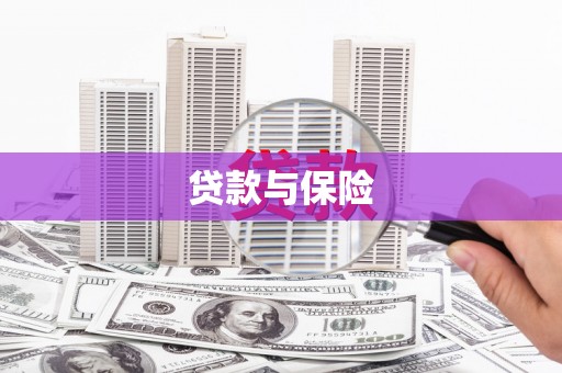 忠县贷款与保险