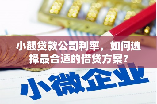 忠县小额贷款公司利率，如何选择最合适的借贷方案？