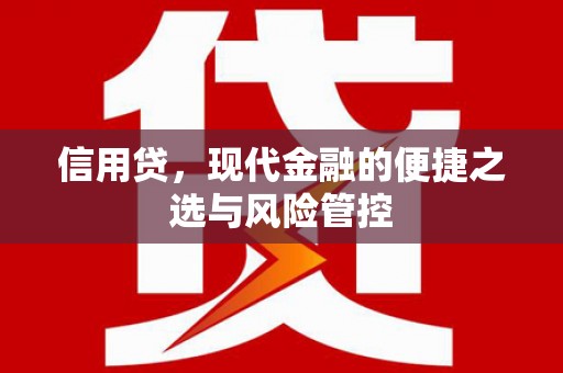 忠县信用贷，现代金融的便捷之选与风险管控