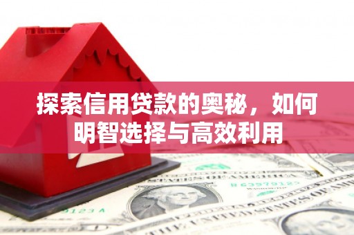忠县探索信用贷款的奥秘，如何明智选择与高效利用