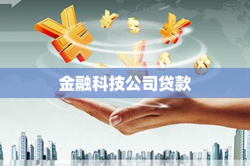 忠县金融科技公司贷款