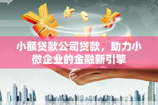 忠县小额贷款公司贷款，助力小微企业的金融新引擎