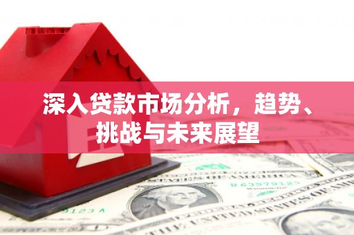忠县深入贷款市场分析，趋势、挑战与未来展望